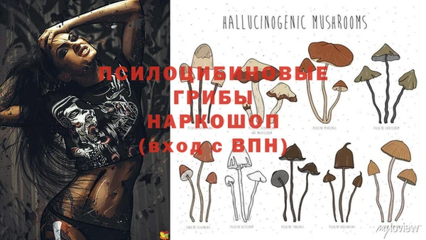мяу мяу мука Алексеевка