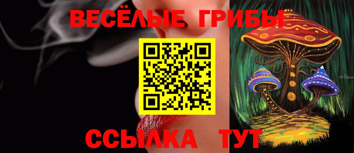Псилоцибиновые грибы MAGIC MUSHROOMS Зеленокумск